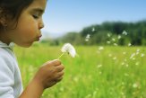 Pusteblume